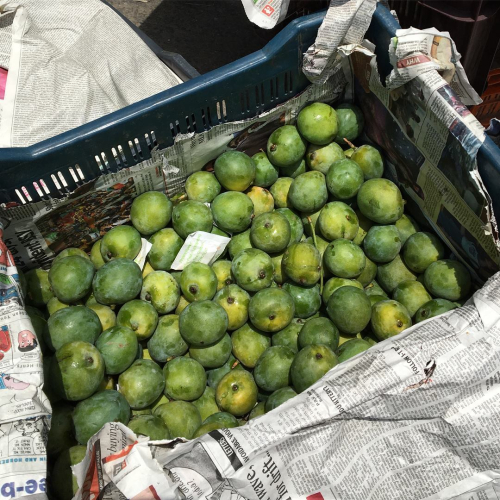 32937235_10213990446532399_7924844230311149568_o