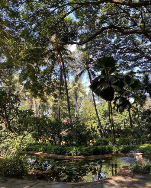 78947823_10218487330031676_1100382501114740736_o