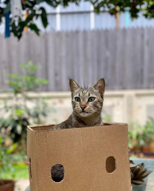 93862272_10219756021108160_6981298683417460736_n