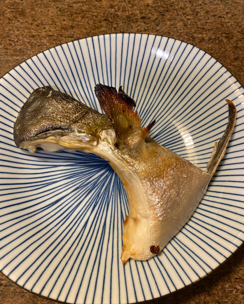 117929903_10220885225857573_6669547212079343965_n