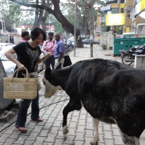 142052075_10222103330349424_537089370911028155_n