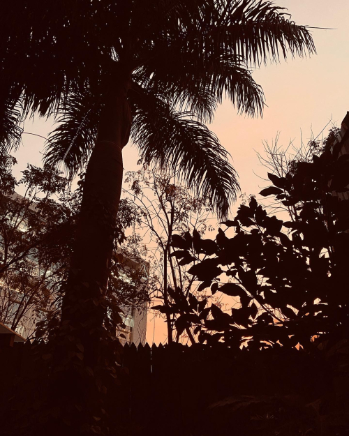 143241326_10222093245737315_4755542979332738589_n