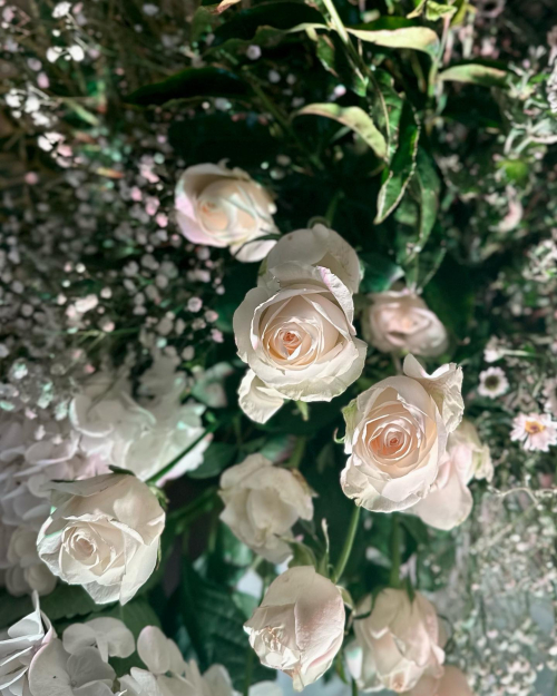 329547684_710672217203440_2314527215446751481_n